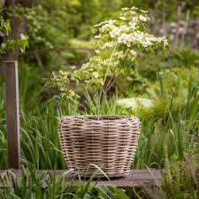 rotan bloempot buiten