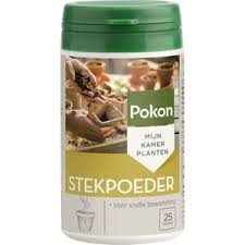 potgrond promotie