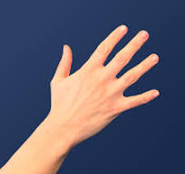 vinger