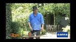 stekken fuchsia