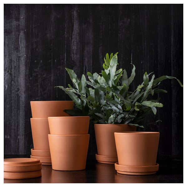 goedkope terracotta bloempot