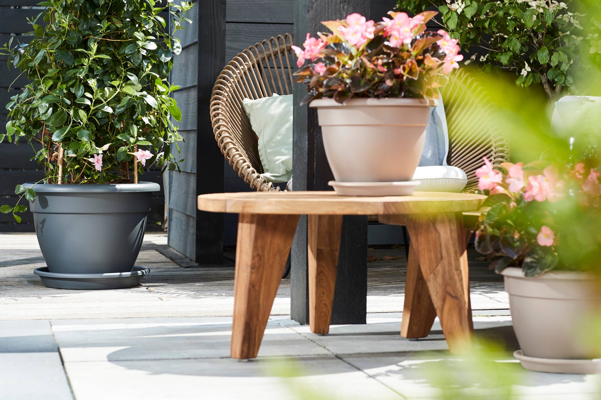 onderschotels bloempot