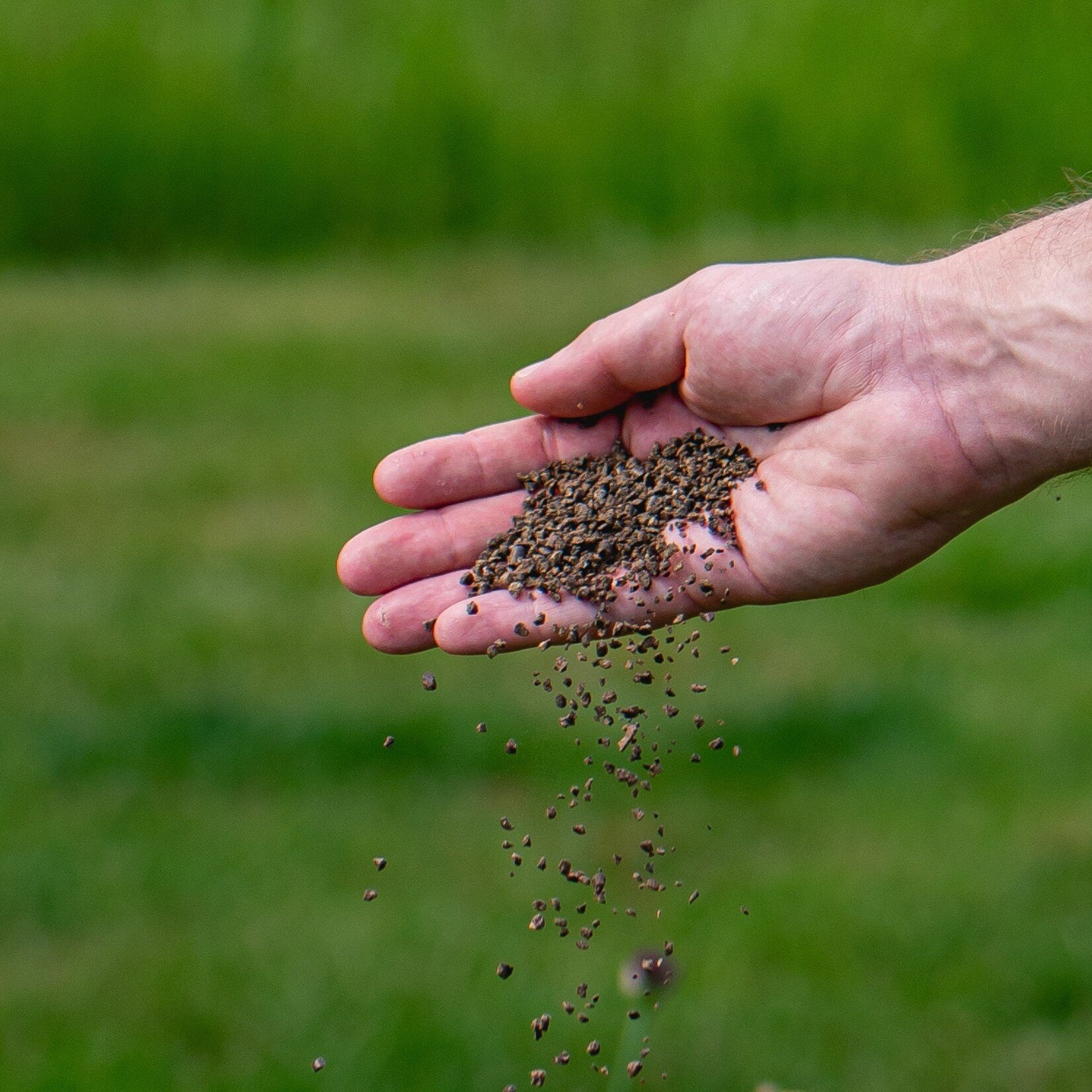 bemesting voor aardbeien