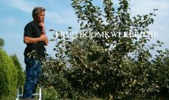 fruitbomen bemesten
