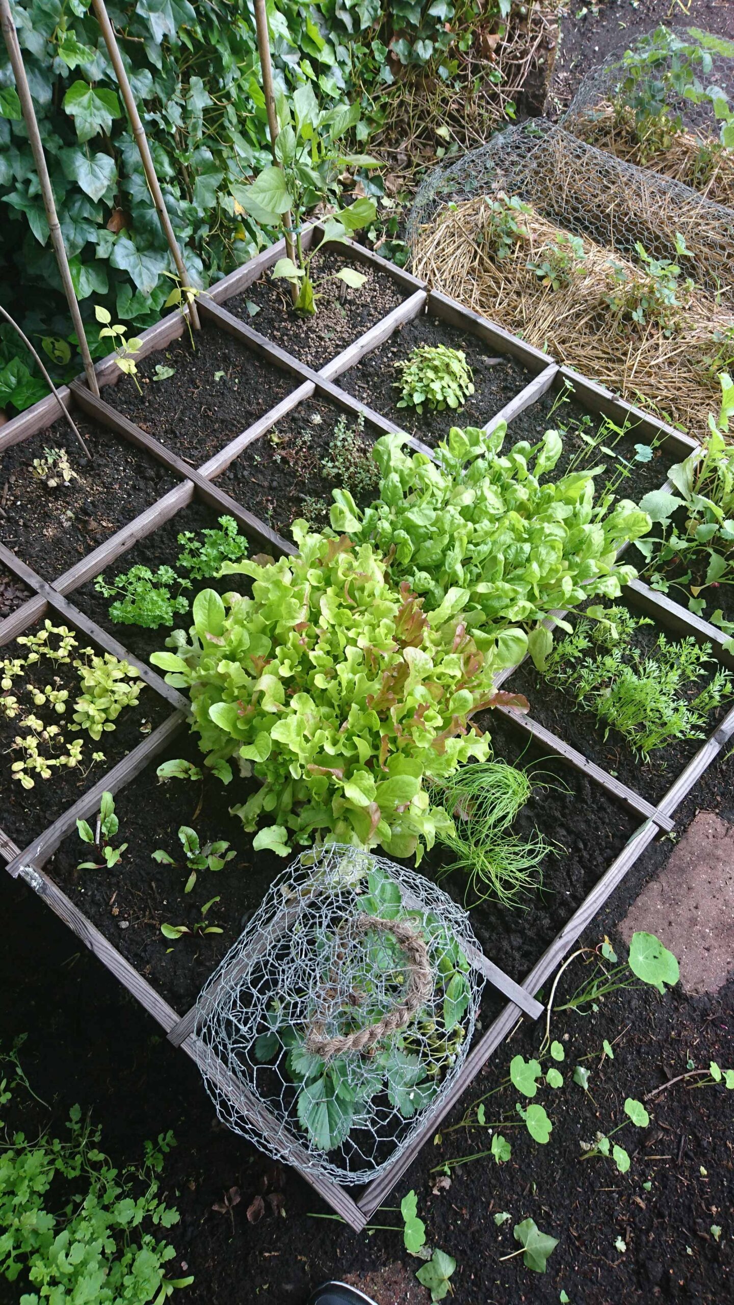 grond voor moestuinbak