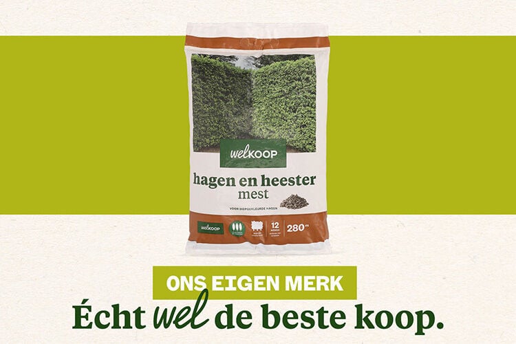 bemesten van beukenhaag