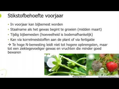 bemesting voor aardbeien