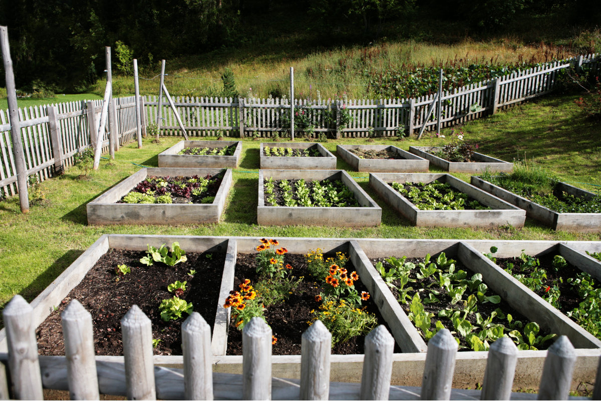 grond voor moestuinbak