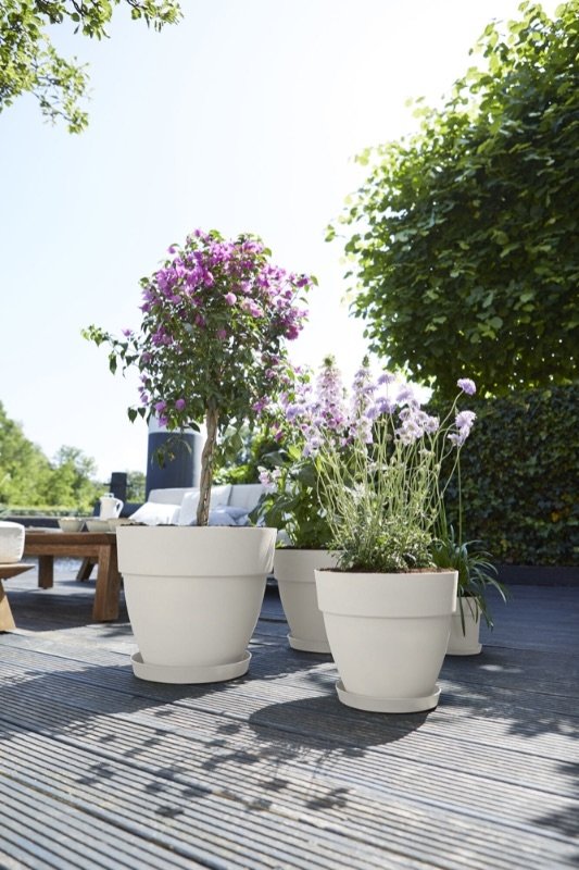 witte bloempot buiten