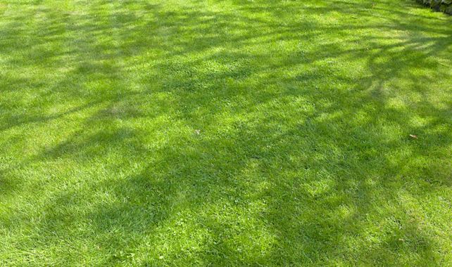 bemesten gazon najaar