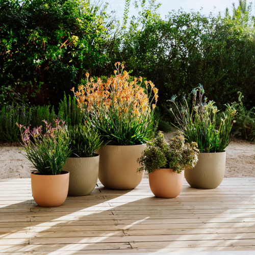 grote plantenpotten buiten