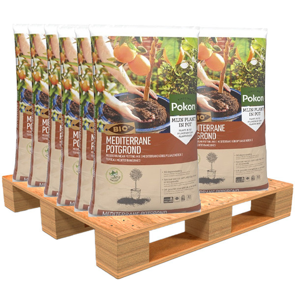 potgrond voor mediterrane planten