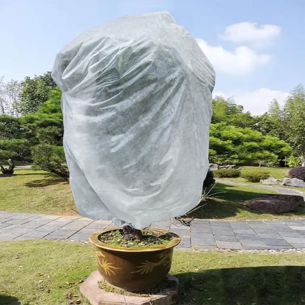 winterbescherming voor planten