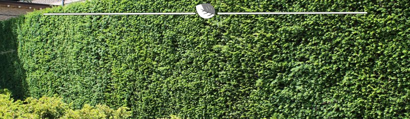 taxus bemesten