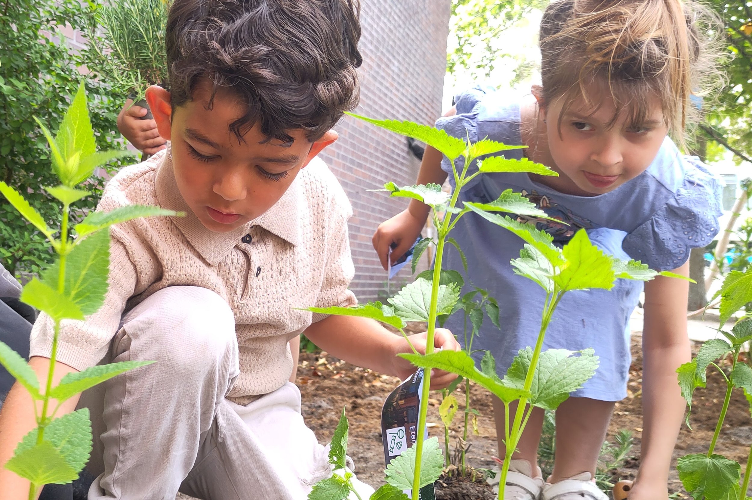 tuinieren kinderen
