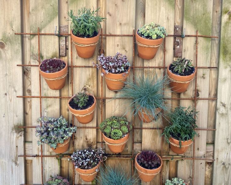 verticale tuin schutting