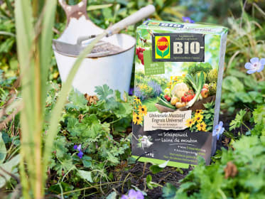 planten meststoffen