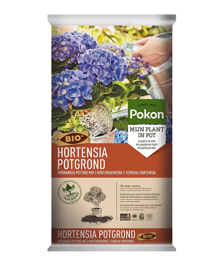 potgrond hortensia