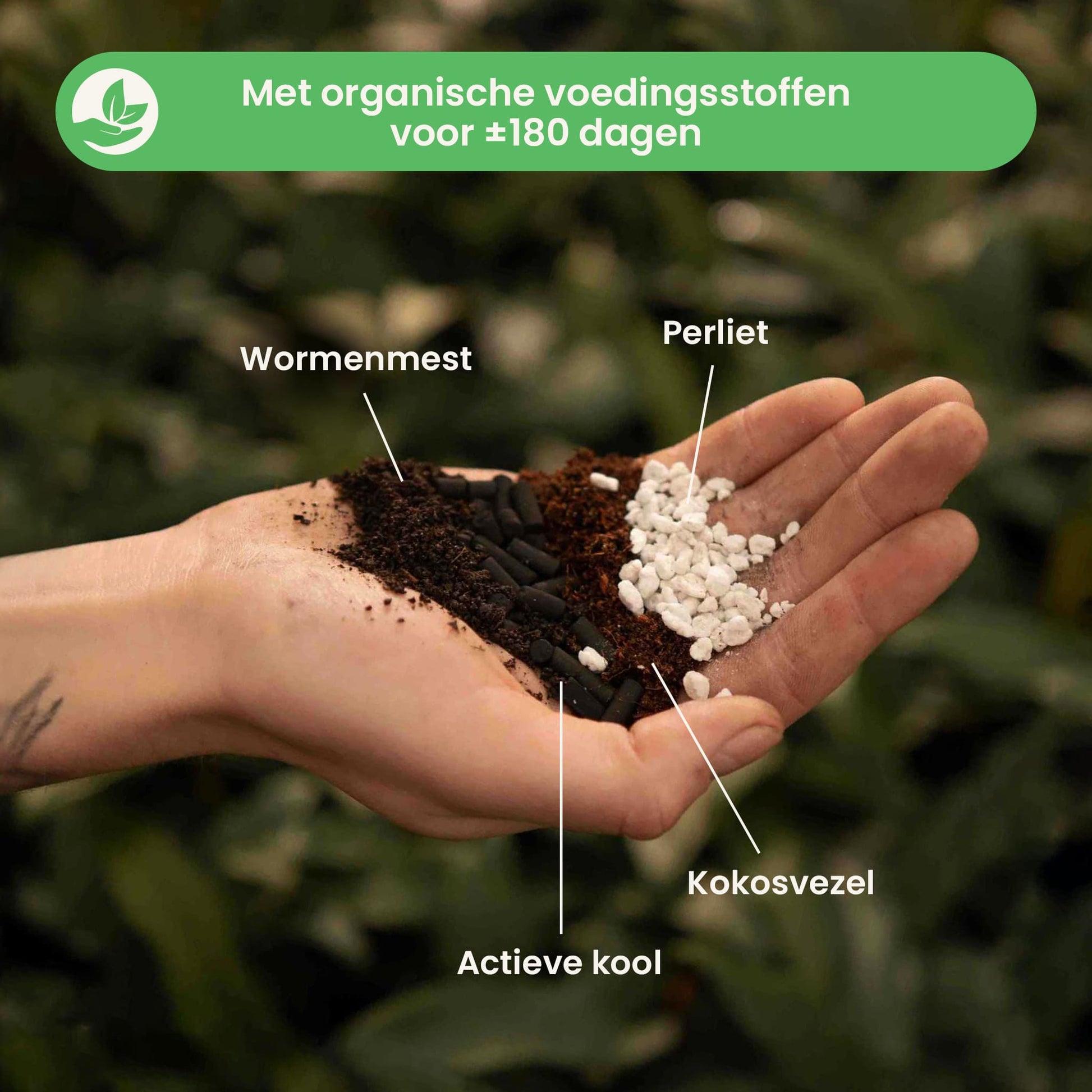 potgrond voor aardbeien