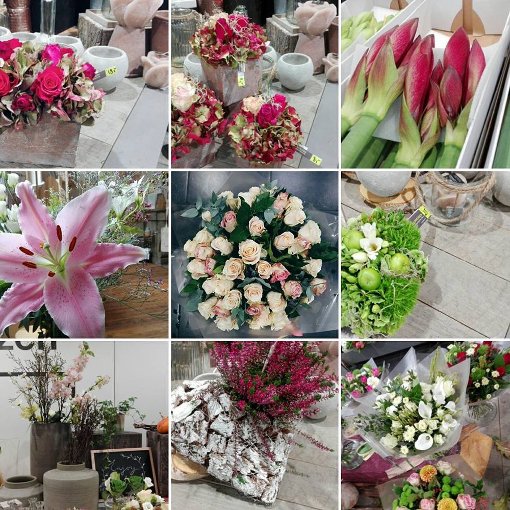 bloemen de herdt kapellen