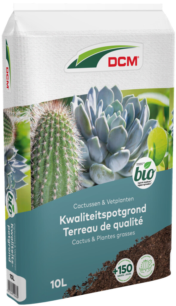 cactus grond