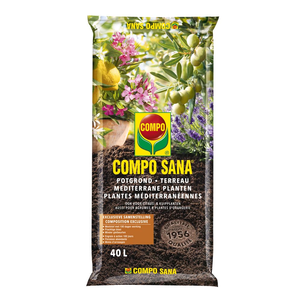 mediterrane planten grond